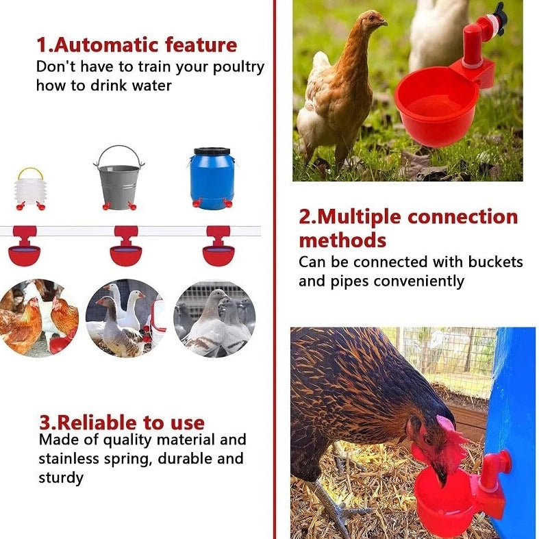 đ„Automatisk kycklingmatare FĂ„gelmatare