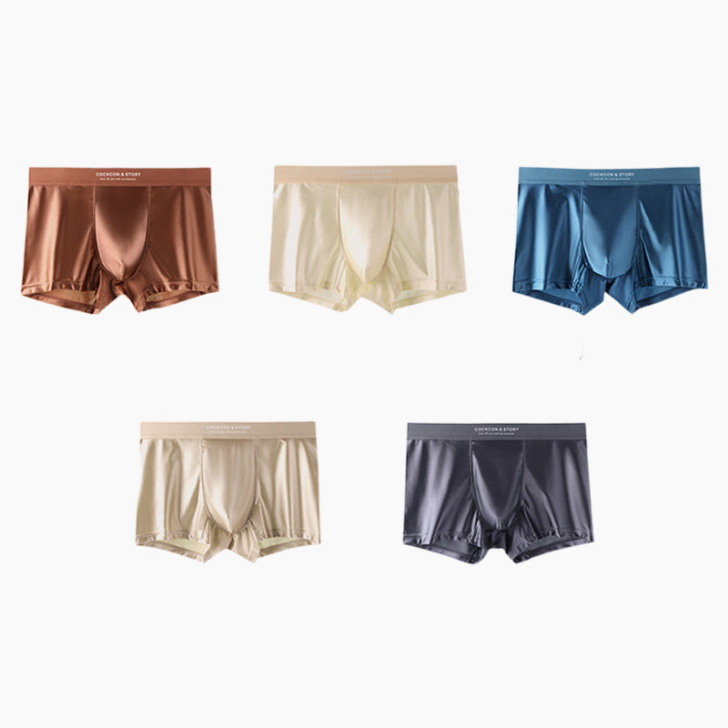 đ„Herrar Satin Ice Silk Briefs