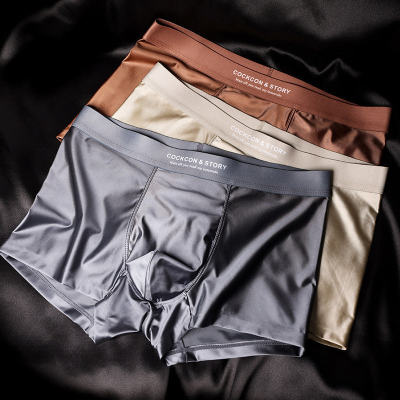đ„Herrar Satin Ice Silk Briefs