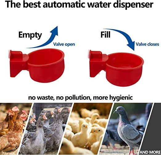 🔥Automatisk kycklingmatare Fågelmatare