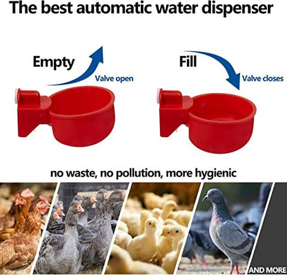 🔥Automatisk kycklingmatare Fågelmatare