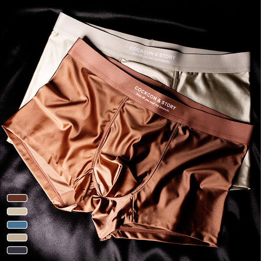 🔥Herrar Satin Ice Silk Briefs
