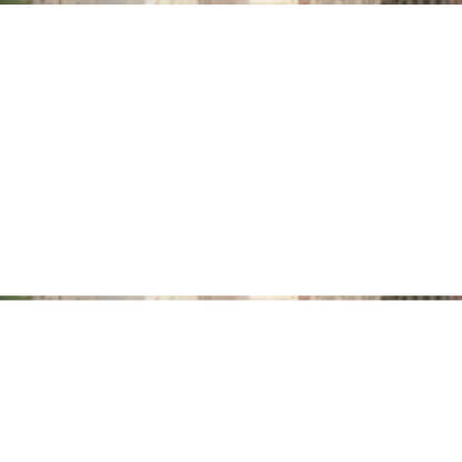 ⏳Begränsad tid 50 % Rabatt⏰Oregelbundna chiffongtoppar för kvinnor ＆ vidbyxor 2-delars set👚👖