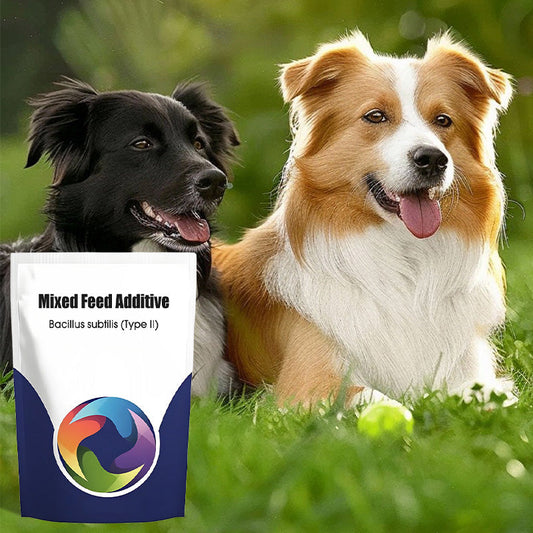 Probiotiska och enzymatiska fodertillsatse