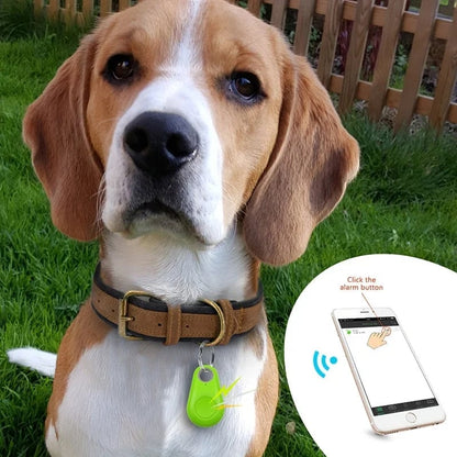🐾 Bluetooth GPS Husdjursspårare | Ingen Månadsavgift 📍