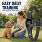 🐕🔇 50 % RABATT NU! Smart Anti-Bark Halsband – Stötfritt med Vibration & Pip, Justerbar Känslighet 🐾✨